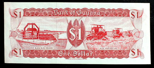 1 Dolar - Gujana